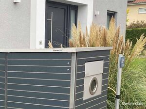 Moderne graue Fassade mit dekorativem Schilfgras und kleinem Briefkastenschrank.